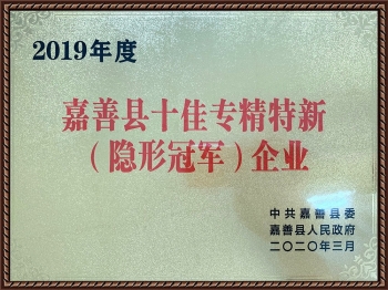 2019年度嘉善縣十佳專精特新（隱形冠軍）企業